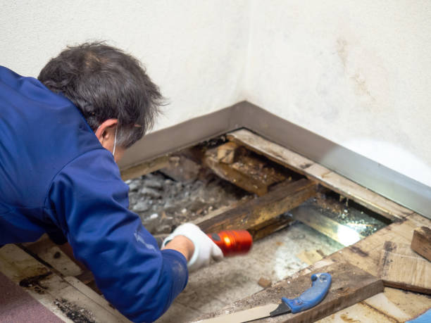Water Damage Restoration in Rocky Mount, VA
