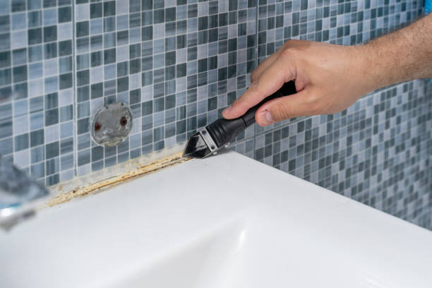 Best Mold Removal Specialists  in Rocky Mount, VA